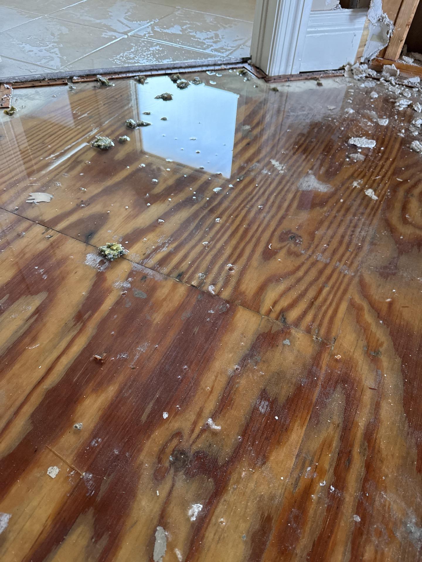 Standing water and damage on wood subfloor from storm intrusion in Richmond