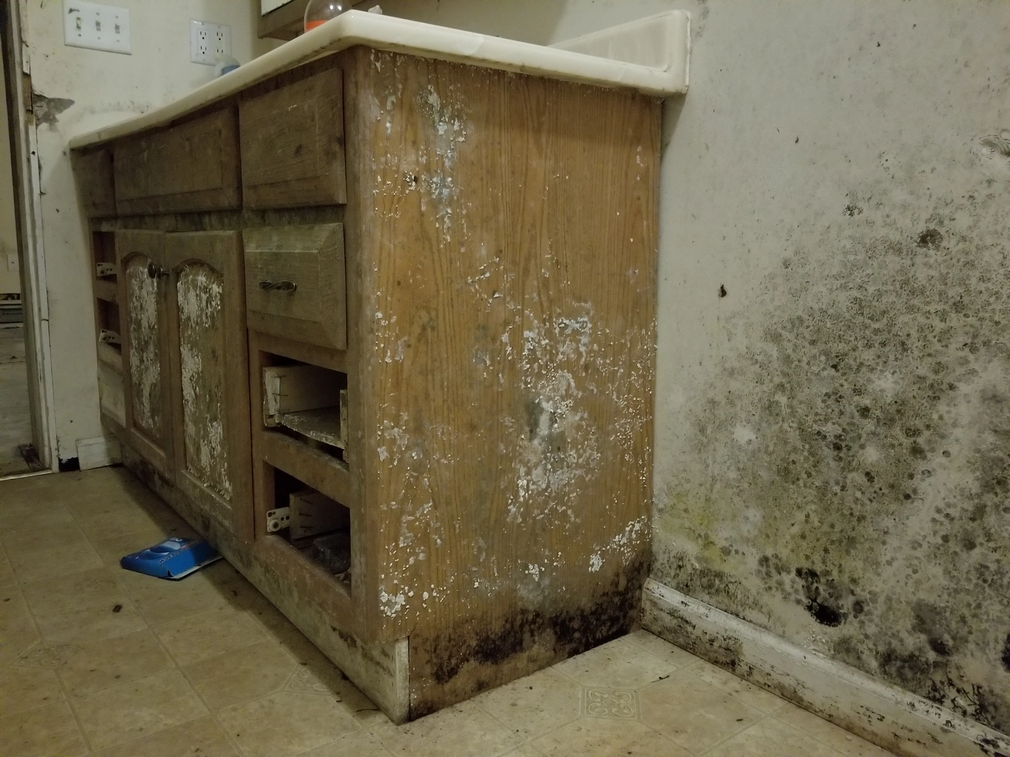 Extensive mold growth on kitchen cabinet and wall in a Richmond home